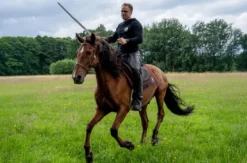 Stuntreiten Großschönau