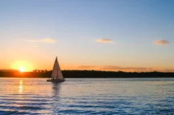 Sunset Sailing