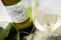 Sunset Wine Tasting Hohenruppersdorf