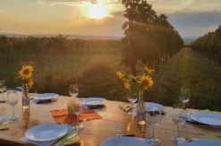 Sunset Wine Tasting Hohenruppersdorf