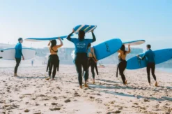 Surfkurs Bordeaux (1,5 Std.)