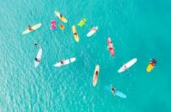 Surfkurs Bordeaux (5 Tage)