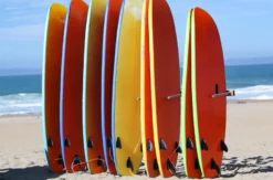 Surfkurs Bordeaux (5 Tage)
