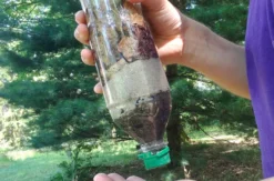 Survival Abenteuer Wehrheim
