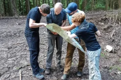 Survival Camp in Bad Peterstal-Griesbach