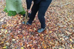 Survival Kurs Dettmannsdorf (Erste Hilfe)