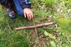 Survival Kurs Dettmannsdorf (Navigation und Orientierung)