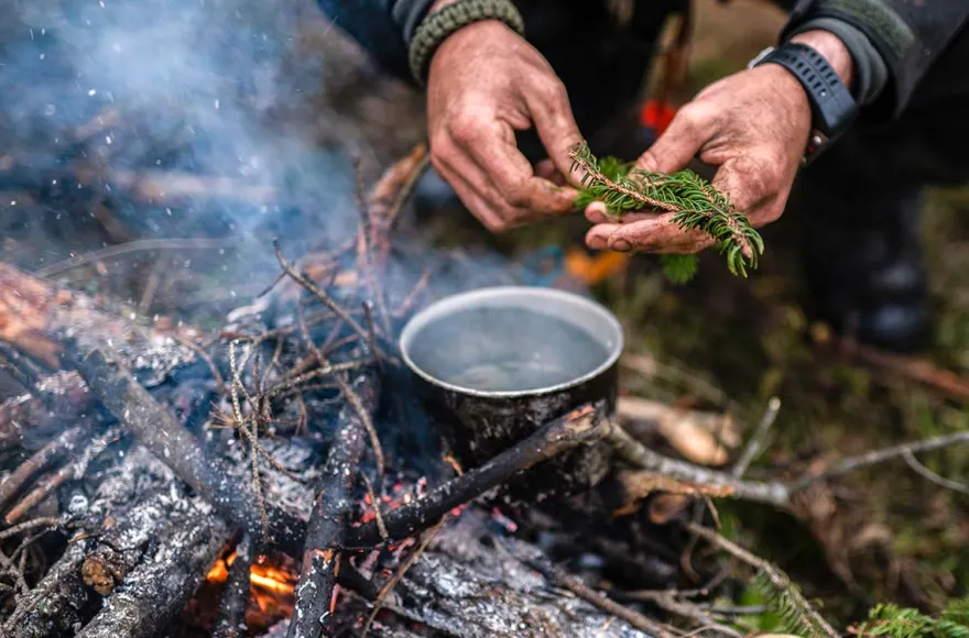 Survival Kurs Dettmannsdorf (Nahrung und Wasser)