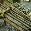 Survival Schnupperkurs St. Gallen