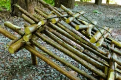 Survival Schnupperkurs Zwingen