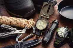 Survival Tag Dresden