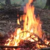 Survival Tag Warthausen