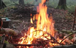 Survival Tag Warthausen