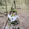 Survival Training für Kinder Raum Stuttgart