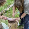 Survival Training Raum Stuttgart (Jagd- und Fallenbau)