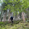 Survival Training Schramberg (2 Tage)