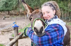 Tagestour mit Eseln Eppenbrunn