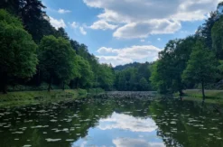 Tagestour mit Eseln Eppenbrunn für 2