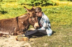 Tagestour mit Eseln Eppenbrunn für 2