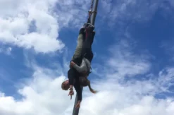 Tandem Bungee Jumping Düsseldorf