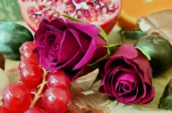 Tasting Aphrodisiaka der Natur Alberndorf in der Riedmark