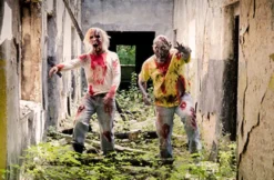 The Living Dead Experience
