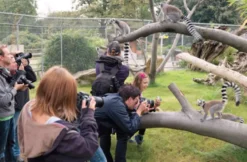 Tierfotografie für Einsteiger im Tierpark