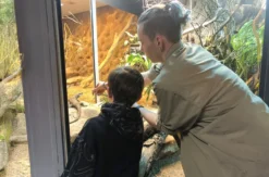 Tierpfleger Landau (Reptilien)