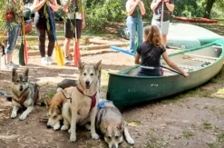 Trekkingtour Hofgeismar (Wolfhunde)