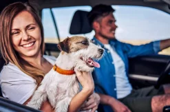 Urlaub mit Hund Alpbachtal für 2 (2 Nächte)