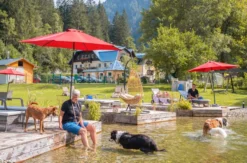 Urlaub mit Hund Bad Gastein