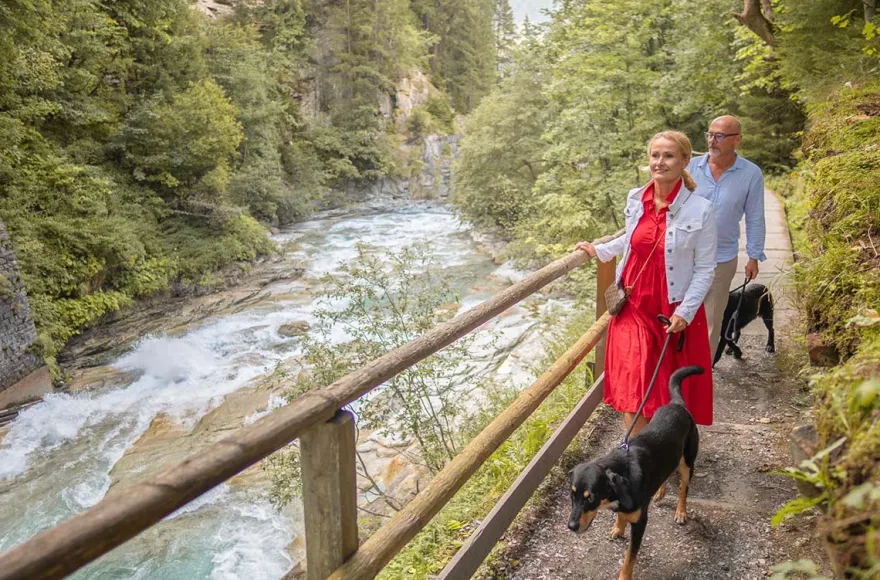 Urlaub mit Hund Bad Gastein