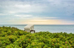 Urlaub mit Hund Fehmarn für 2 (3 Nächte)