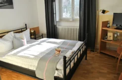 Urlaub mit Hund im Harz für 2 (1 Nacht)