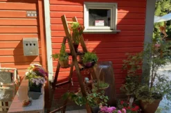 Urlaub mit Hund im Harz für 2 (2 Nächte)