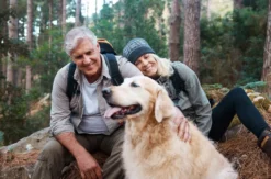 Urlaub mit Hund im Harz für 2 (2 Nächte)
