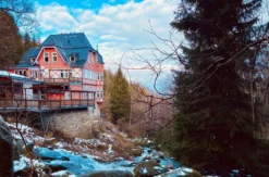 Urlaub mit Hund im Harz für 2 (2 Nächte)