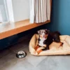 Urlaub mit Hund Schwäbische Alb für 2 (1 Nacht)