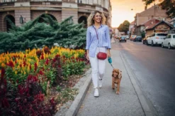 Urlaub mit Hund Stuttgart für 2 (2 Nächte)