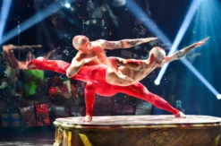 Varieté Show Düsseldorf (Okt. - Jan. / Mi., Do., So. / Parkett Reihe 2 bis 5)