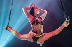 Varieté Show Düsseldorf (Okt. - Jan. / Fr. - Sa. / Parkett Reihe 2 bis 5)