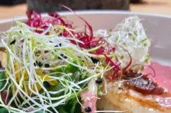Veganer Kochkurs Dresden