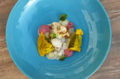 Veganer Kochkurs Dresden
