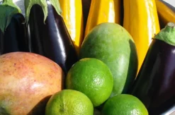 Veganer Kochkurs Schwetzingen