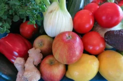 Vegetarischer Kochkurs Schwetzingen