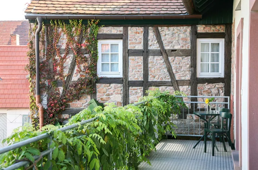 Vegetarischer Kochkurs Weisenheim am Berg