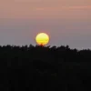 Vollmond Weinwanderung Schriesheim