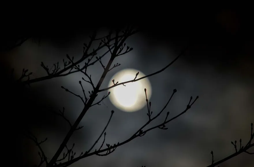 Vollmond Weinwanderung Schriesheim