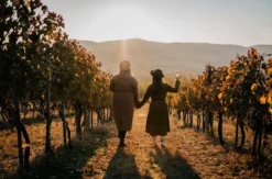 Vollmond Weinwanderung Schriesheim
