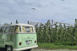 VW Bulli fahren Friedrichshafen für bis zu 8